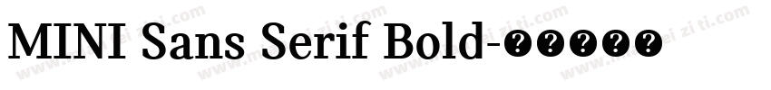 MINI Sans Serif Bold字体转换